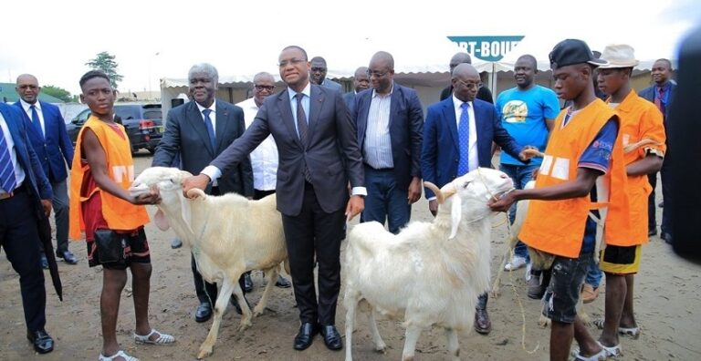 Plus de 70.000 têtes de moutons déjà disponibles pour la Tabaski 